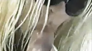 رجل يمارس الجنس بقوة ومهارة في السرير سيدة ذات شعر أحمر احلا سكسي اجنبي في جوارب